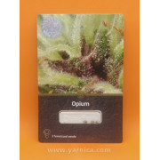 Opium (уп 3шт)
