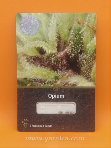 Opium (уп 3шт) Opium (уп 3шт)