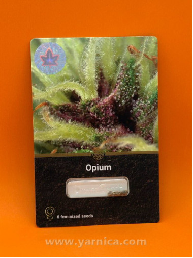 Opium (уп 6шт) Opium (уп 6шт)