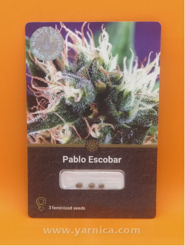 Pablo Escobar (уп 3шт) Pablo Escobar (уп 3шт)