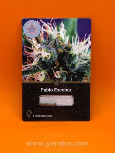 Pablo Escobar (уп 6шт) Pablo Escobar (уп 6шт)