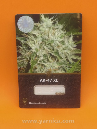 AK-47 XL (уп 3шт) AK-47 XL (уп 3шт)