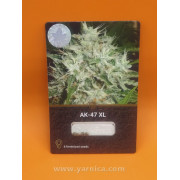 AK-47 XL (уп 6шт)