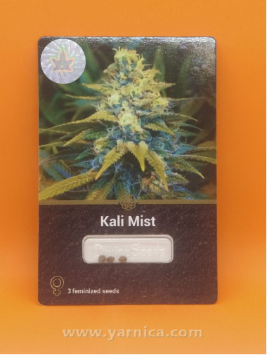 Kali Mist (уп 3шт) Kali Mist (уп 3шт)