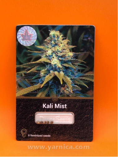 Kali Mist (уп 6шт) Kali Mist (уп 6шт)