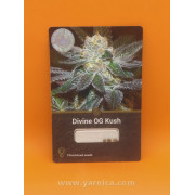 Divine OG Kush (уп 3шт)