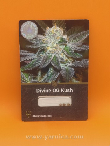 Divine OG Kush (уп 3шт) Divine OG Kush (уп 3шт)