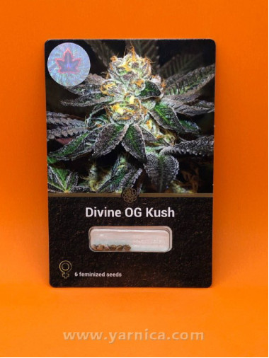 Divine OG Kush (уп 6шт) Divine OG Kush (уп 6шт)