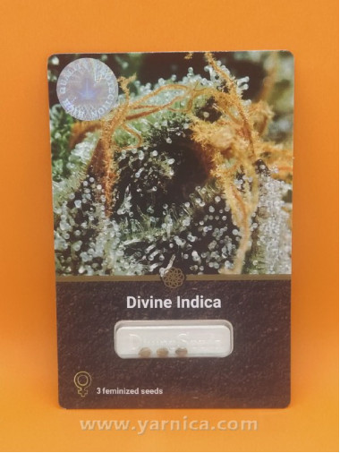 Divine Indica (уп 3шт) Divine Indica (уп 3шт)