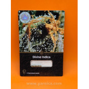 Divine Indica (уп 6шт)
