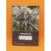 Amnesia XL  (уп 3шт)