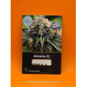 Amnesia XL  (уп 6шт)