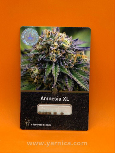 Amnesia XL (уп 6шт) Amnesia XL (уп 6шт)