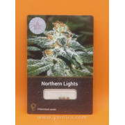 Northern Lights  (уп 3шт)
