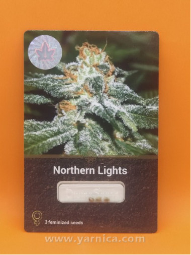 Northern Lights (уп 3шт) Northern Lights (уп 3шт)