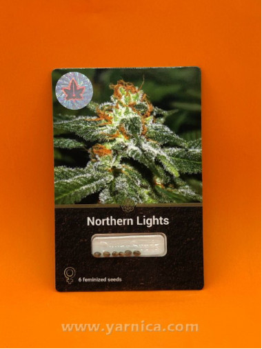 Northern Lights (уп 6шт) Northern Lights (уп 6шт)