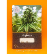 Euphoria (уп 3шт)