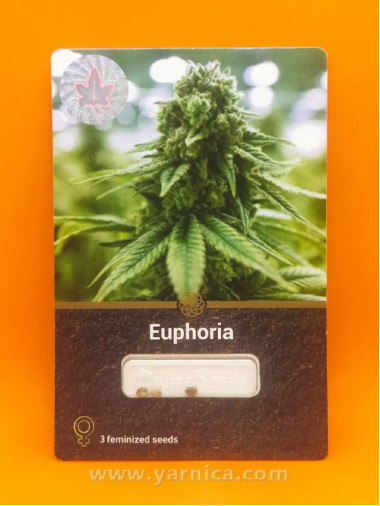 Euphoria (уп 3шт) Euphoria (уп 3шт)