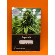 Euphoria (уп 6шт)
