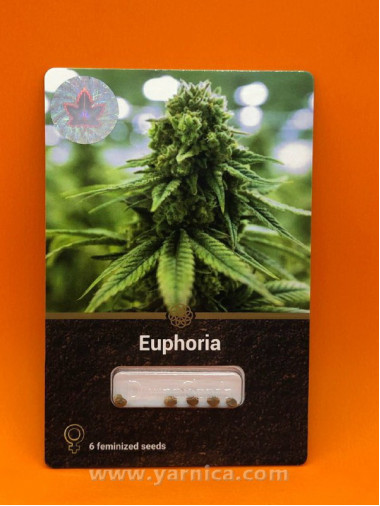 Euphoria (уп 6шт) Euphoria (уп 6шт)