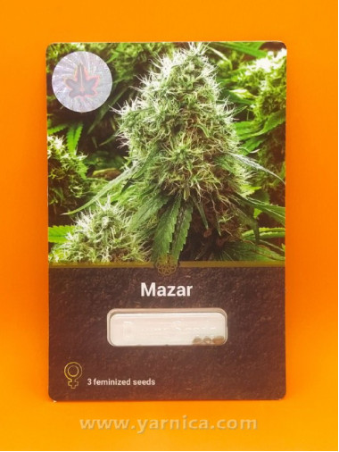 Mazar (уп 3шт) Mazar (уп 3шт)
