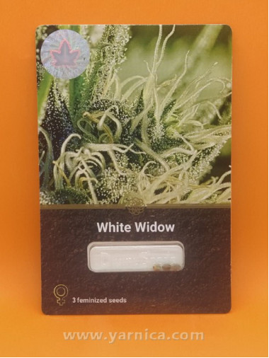 White Widow (уп 3шт) White Widow (уп 3шт)