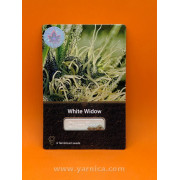 White Widow (уп 6шт)
