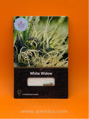 White Widow (уп 6шт) White Widow (уп 6шт)