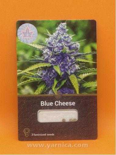Blue Cheese (уп 3шт) Blue Cheese (уп 3шт)
