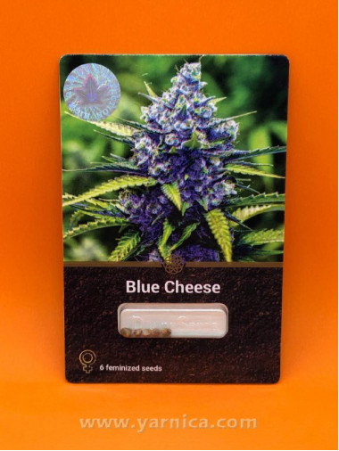 Blue Cheese (уп 6шт) Blue Cheese (уп 6шт)
