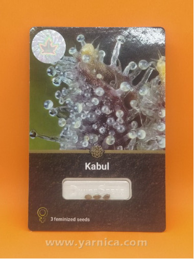 Kabul (уп 3шт) Kabul (уп 3шт)
