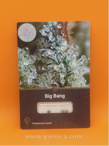 Big Bang (уп 3шт) Big Bang (уп 3шт)