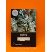 Big Bang (уп 6шт)
