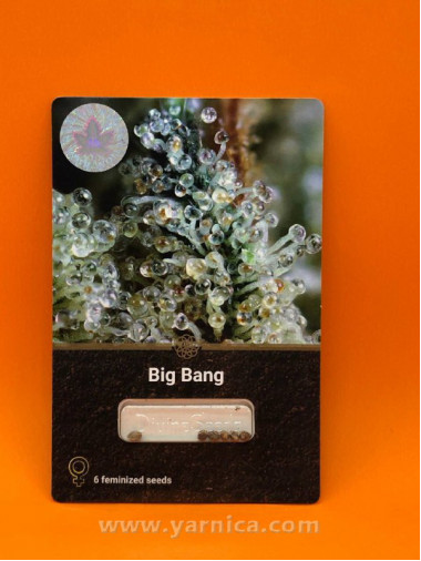 Big Bang (уп 6шт) Big Bang (уп 6шт)