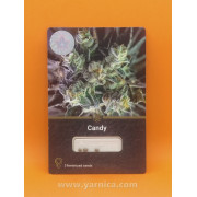 Candy (уп 3шт)
