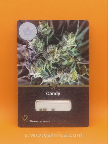 Candy (уп 3шт) Candy (уп 3шт)
