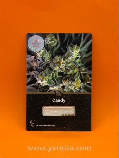 Candy (уп 6шт) Candy (уп 6шт)