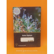 Auto Opium (уп 3шт)