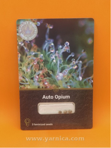 Auto Opium (уп 3шт) Auto Opium (уп 3шт)