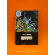 Auto Opium (уп 6шт)