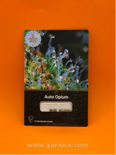 Auto Opium (уп 6шт) Auto Opium (уп 6шт)
