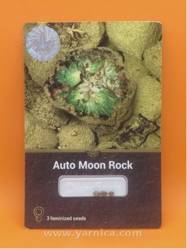 Auto Moon Rock (уп 3шт) Auto Moon Rock (уп 3шт)