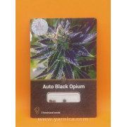 Auto Black Opium (уп 3шт)