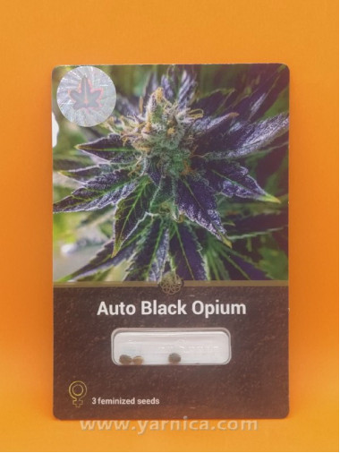 Auto Black Opium (уп 3шт) Auto Black Opium (уп 3шт)