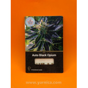 Auto Black Opium (уп 6шт)