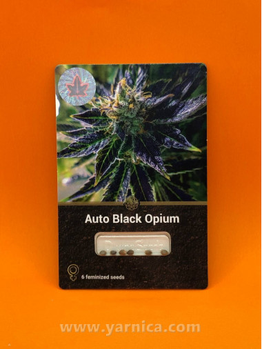 Auto Black Opium (уп 6шт) Auto Black Opium (уп 6шт)