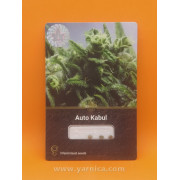 Auto Kabul (уп 3шт)