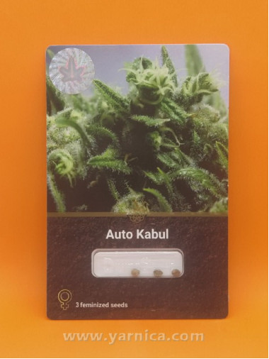 Auto Kabul (уп 3шт) Auto Kabul (уп 3шт)
