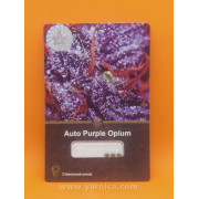 Auto Purple Opium (уп 3шт)