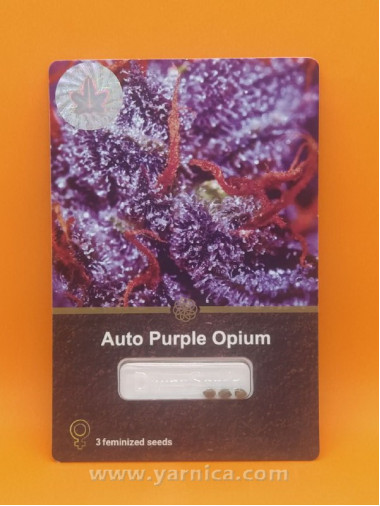 Auto Purple Opium (уп 3шт) Auto Purple Opium (уп 3шт)